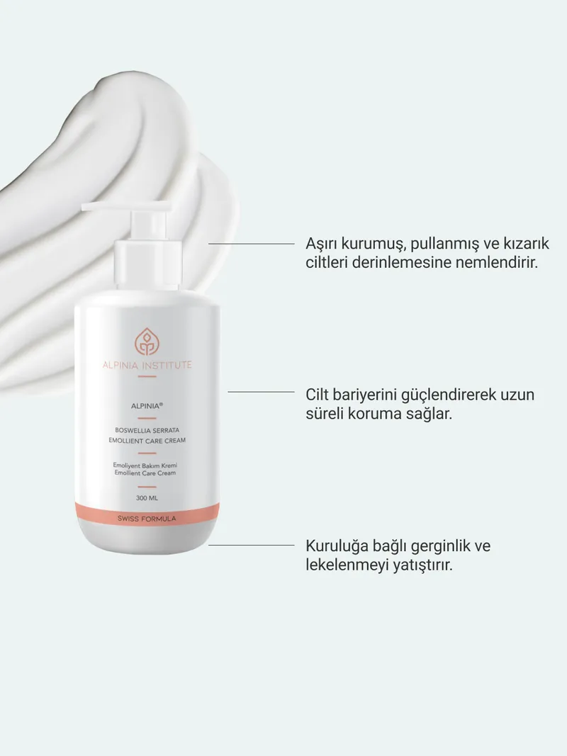 Palmiye Soba kiralama